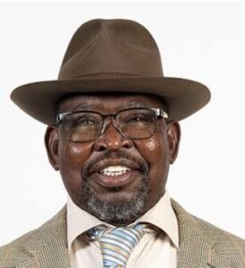 Enoch Godongwana Biography