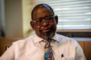 Enoch Godongwana Biographh
