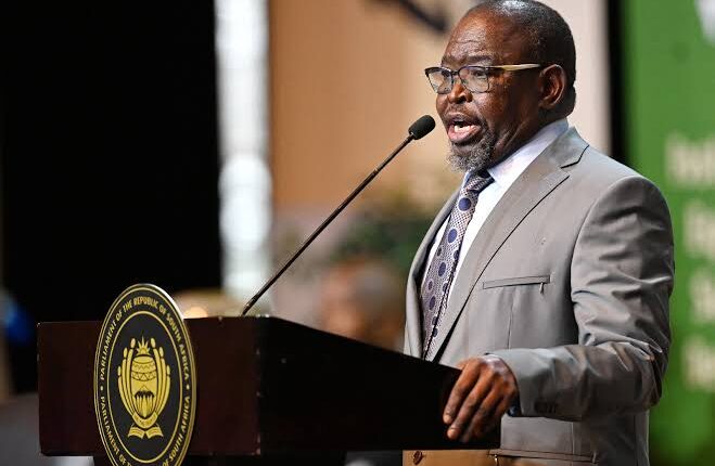 Enoch Godongwana Biography